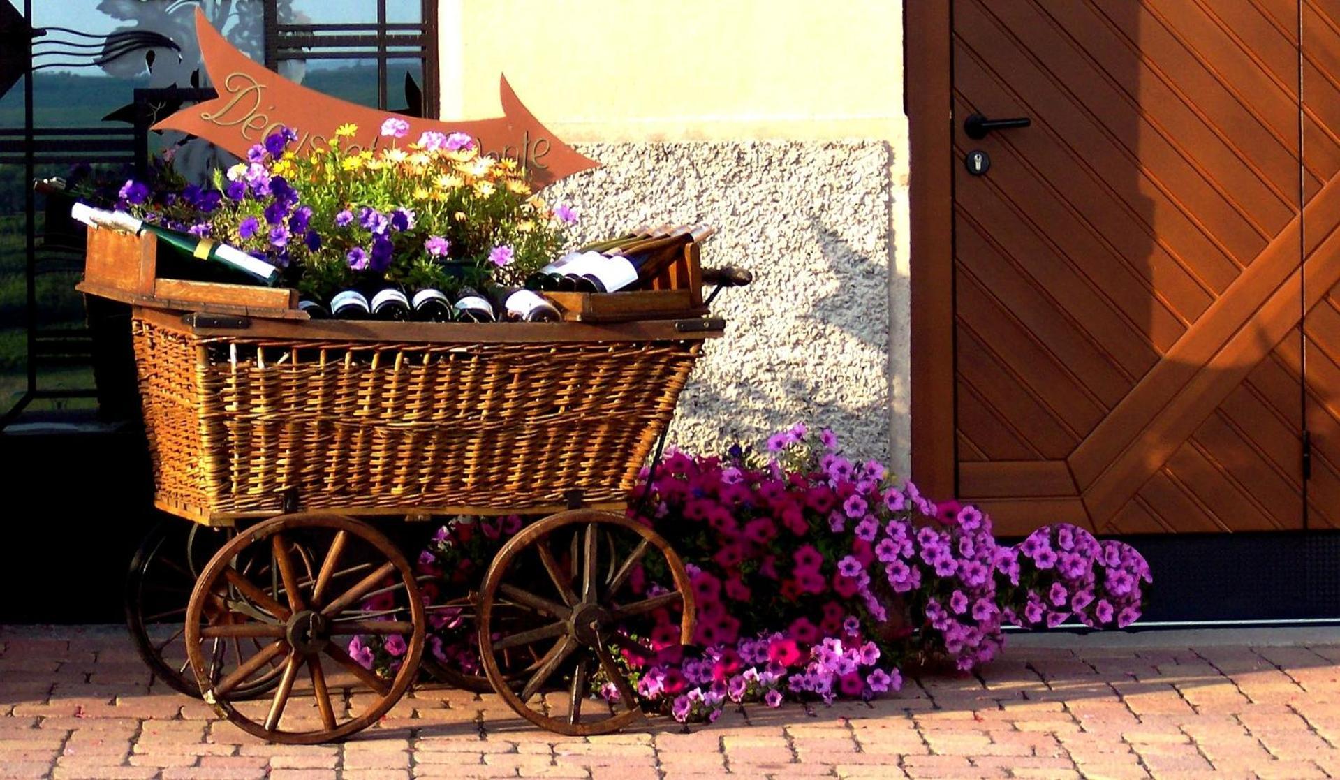 Jeannala Apartment Riquewihr Exterior foto